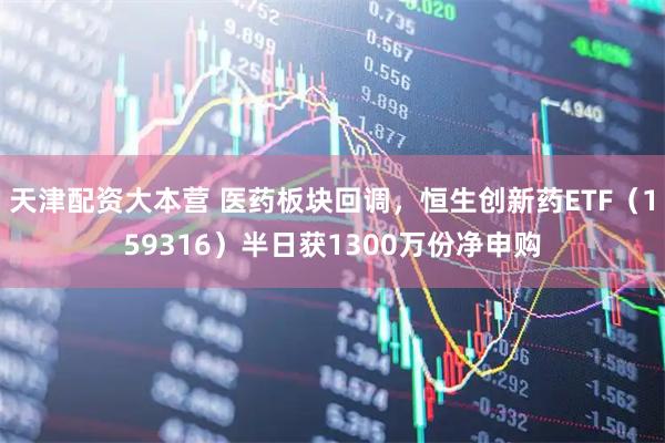 天津配资大本营 医药板块回调，恒生创新药ETF（159316）半日获1300万份净申购