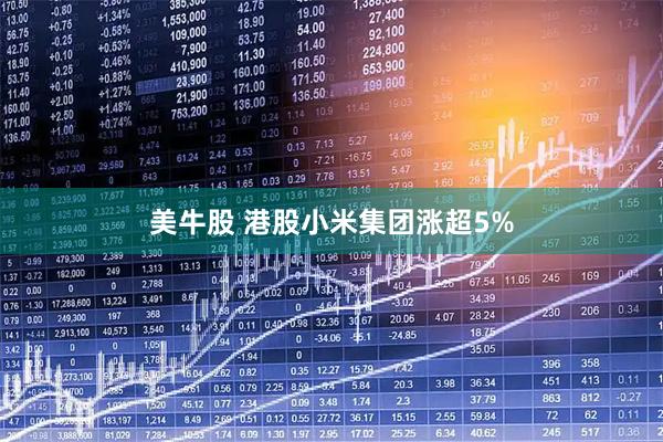 美牛股 港股小米集团涨超5%